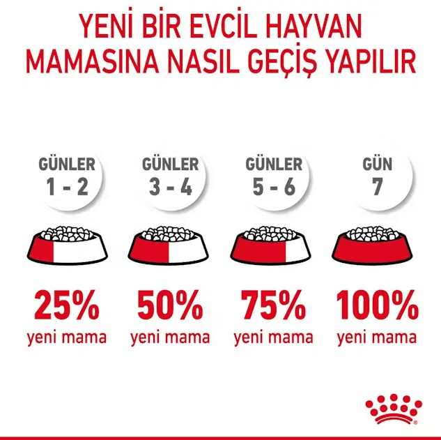 Royal Canin Hairball Tüy Yumağı Önleyici Yetişkin Kedi Maması