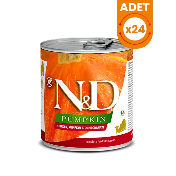 N&D Pumpkin Tavuklu Yavru Konserve Köpek Maması - 24 Adet 285 Gr