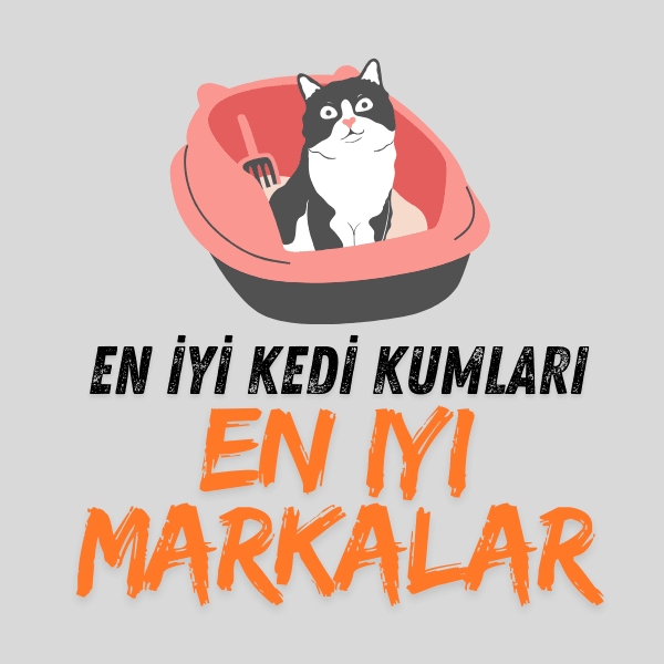 En İyi Kedi Kumları