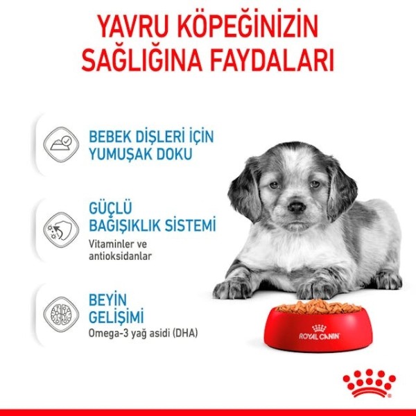 Royal Canin Medium Puppy Gravy Yavru Konserve Köpek Maması