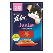 Felix