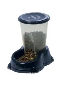 Moderna: Köpekler İçin En İyi 10 Aksesuar (Konfor ve Stil) Moderna: Köpekler İçin En İyi 10 Aksesuar (Konfor ve Stil)