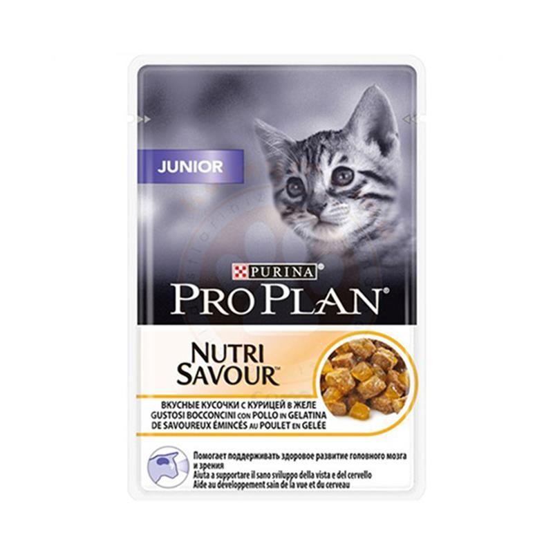 Pro Plan Kitten Yavru Kedi Pouch Konserve