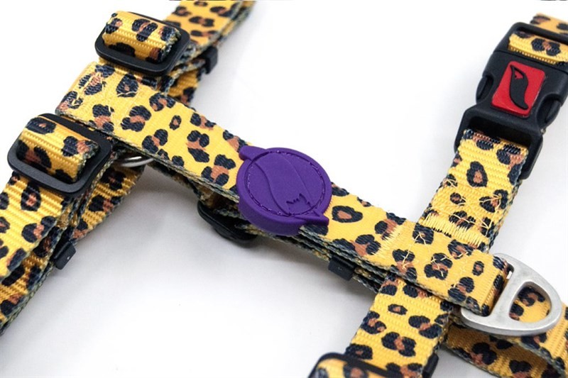 Tailpetz Leopard Desenli Köpek Göğüs Tasması