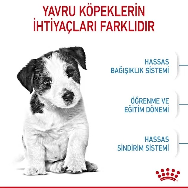 Royal Canin Mini Puppy Küçük Irk Yavru Köpek Maması