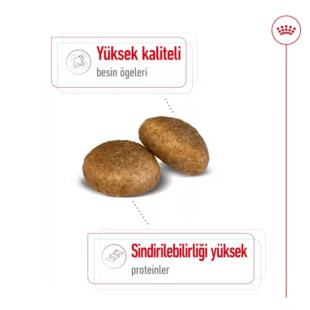 Royal Canin Maxi Adult Büyük Irk Yetişkin Köpek Maması