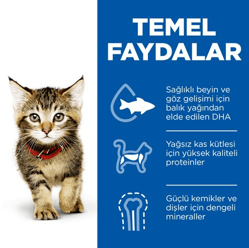 Hills Kitten Okyanus Balıklı Pouch Yavru Konserve Kedi Maması
