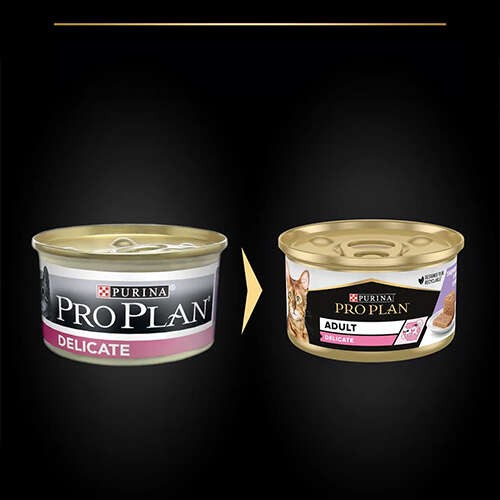 Pro Plan Delicate Hindili Ezme Yetişkin Konserve Kedi Maması