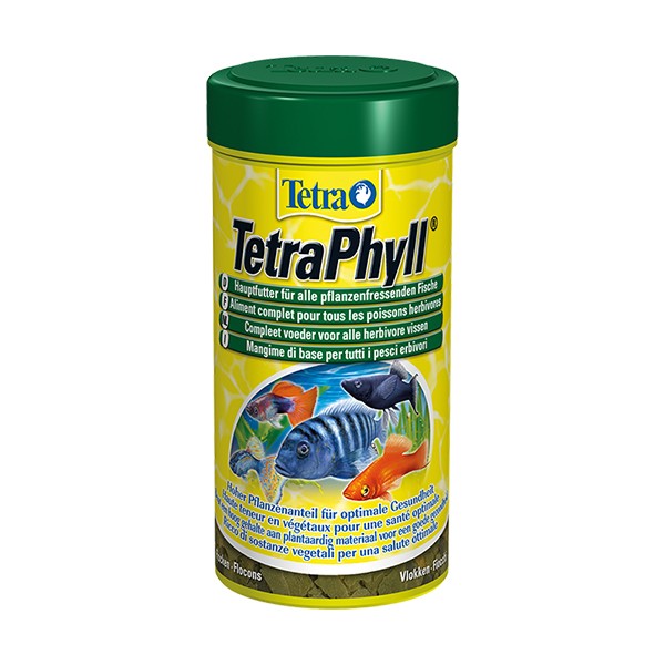 Tetra Phyll Flakes Akvaryum Süs Balık Yemi