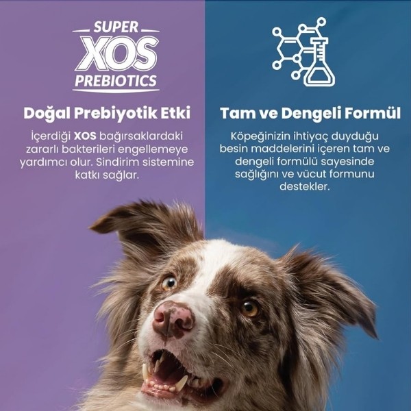 Reflex Plus Somonlu Orta ve Büyük Irk Yetişkin Köpek Maması