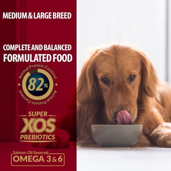 Reflex Plus Kuzulu Orta ve Büyük Irk Yetişkin Köpek Maması