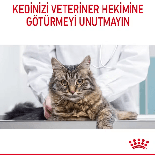 Royal Canin Oral Care Ağız ve Diş Sağlığı için Kedi Maması
