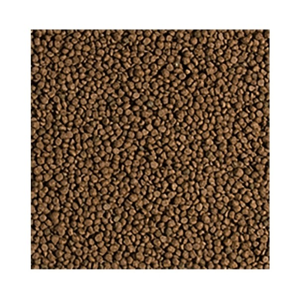 Tropical Koi Wheat Germ & Garlic Size Koi Balıkları için Granül Yem