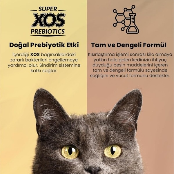 Reflex Plus Adult Somonlu Yetişkin Kedi Maması