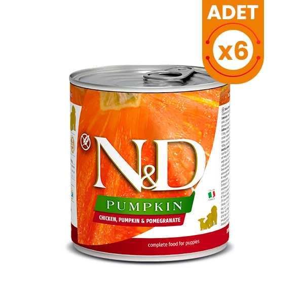 N&D Pumpkin Tavuklu Yavru Konserve Köpek Maması - 6 Adet 285 Gr