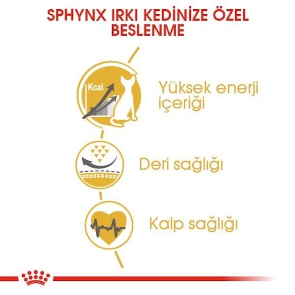 Royal Canin Tüysüz Sphynx Cinsi Yetişkin Kedi Maması