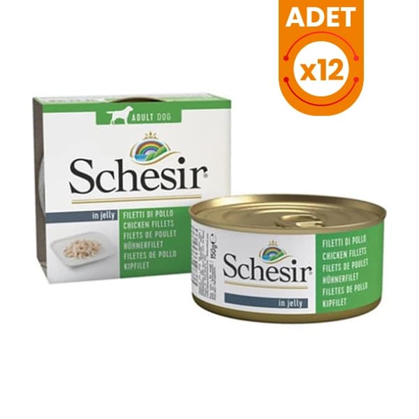 Chihuahua İçin En İyi 10 Mama: Sağlıklı ve En Çok Tercih Edilenler Chihuahua İçin En İyi 10 Mama: Sağlıklı ve En Çok Tercih Edilenler