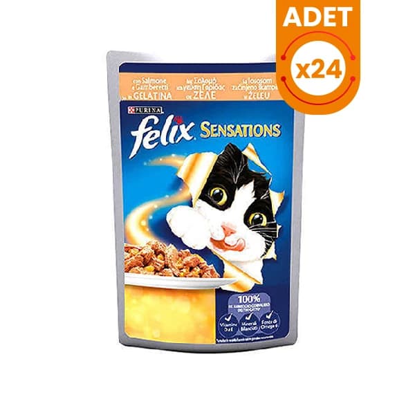 Felix Salmon & Prawn Wet Pouch