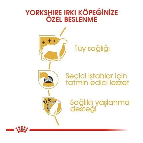 Royal Canin Yorkshire Terrier Adult Yetişkin Köpek Maması
