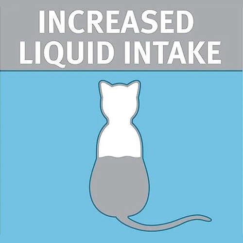 Pro Plan Feline Hydra Care Pouch Konserve Kedi Maması