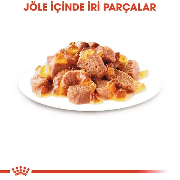 Royal Canin İntense Beauty Jelly Pouch Konserve Kedi Maması