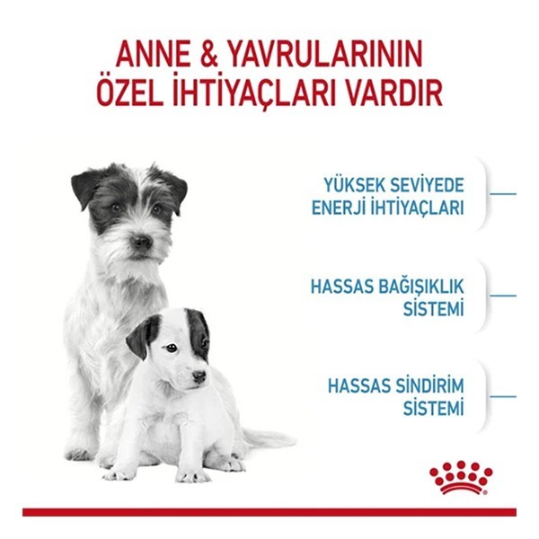 Royal Canin Mini Starter Yavru Köpek Maması