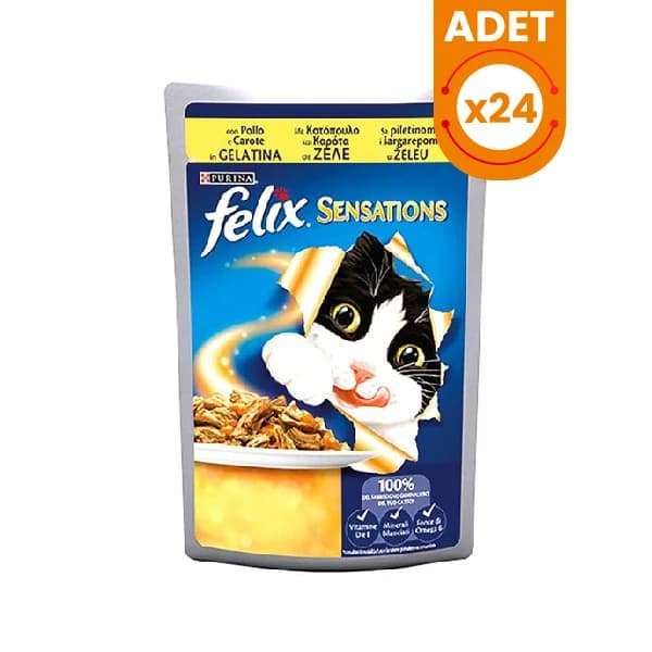 Felix Chicken & Carrot Wet