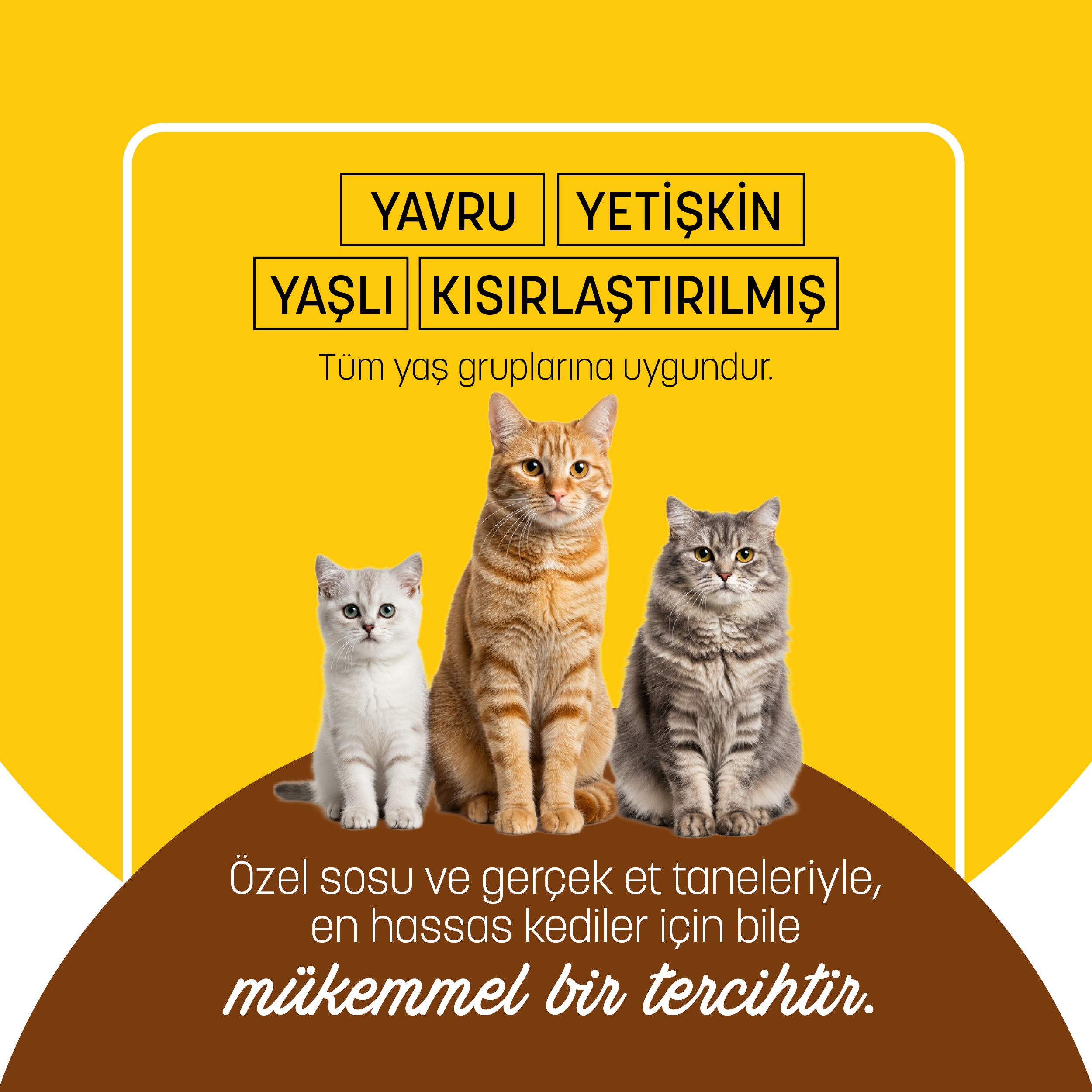 PetzzCats Tavuk & Karides Konserve Kedi Maması