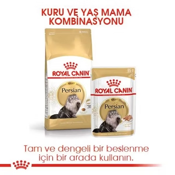 Royal Canin Persian Adult Yetişkin İran Kedisi Maması