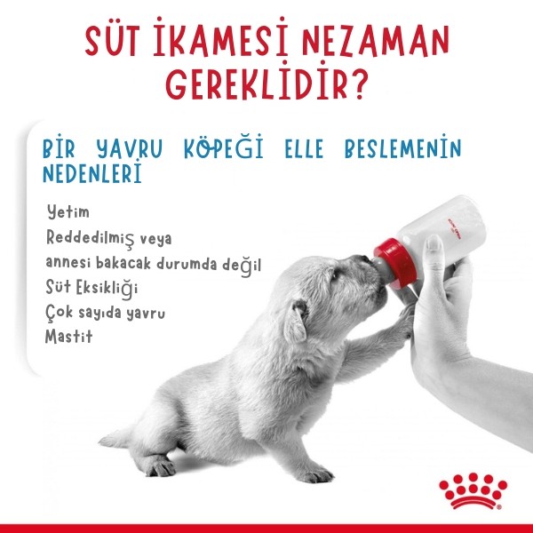 Royal Canin Babydog Milk Yavru Köpek Süt Tozu