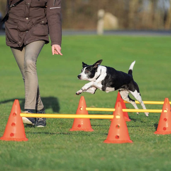 Trixie Köpek Agility Oyuncağı
