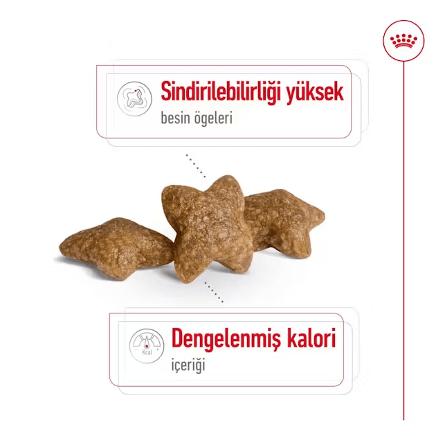 Royal Canin Mini Adult Küçük Irk Yetişkin Köpek Maması