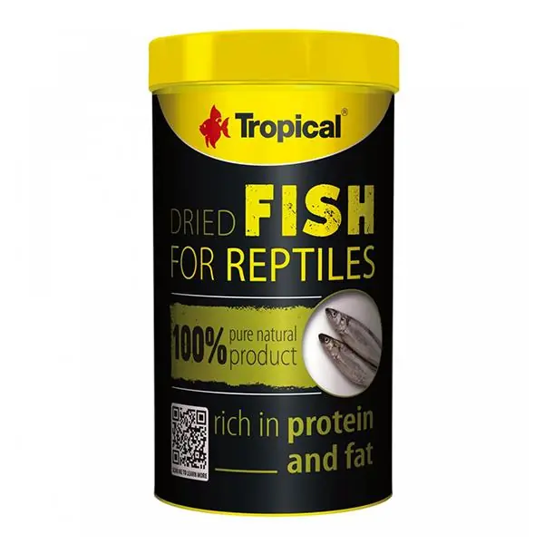 Tropical Dried Fish Kurutulmuş Balık
