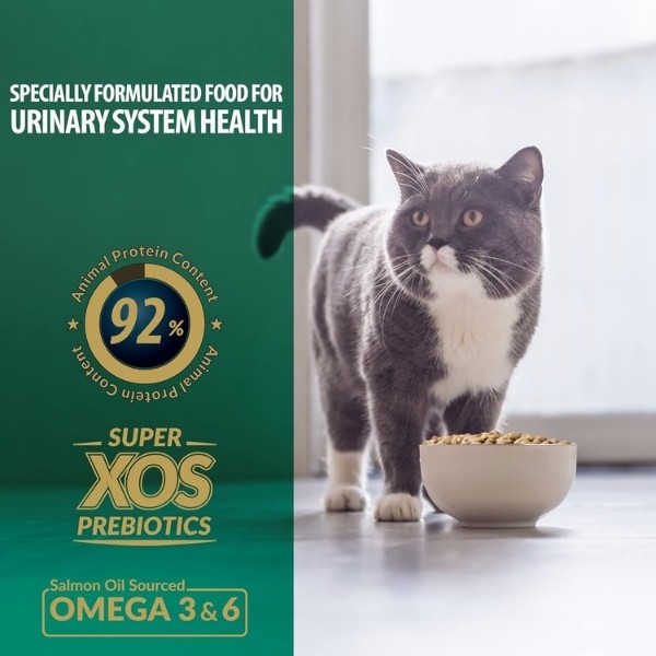 Reflex Plus Urinary Tavuklu Yetişkin Kedi Maması