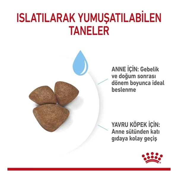 Royal Canin Mini Starter Yavru Köpek Maması