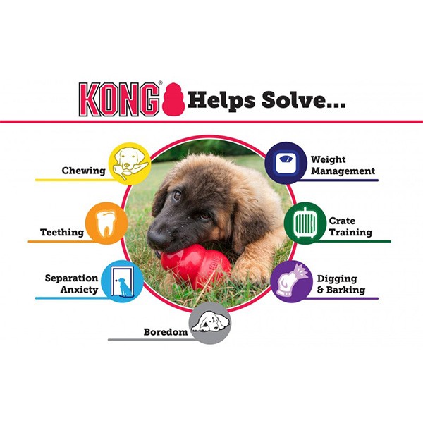Kong Puppy Yavru Köpek Oyuncağı
