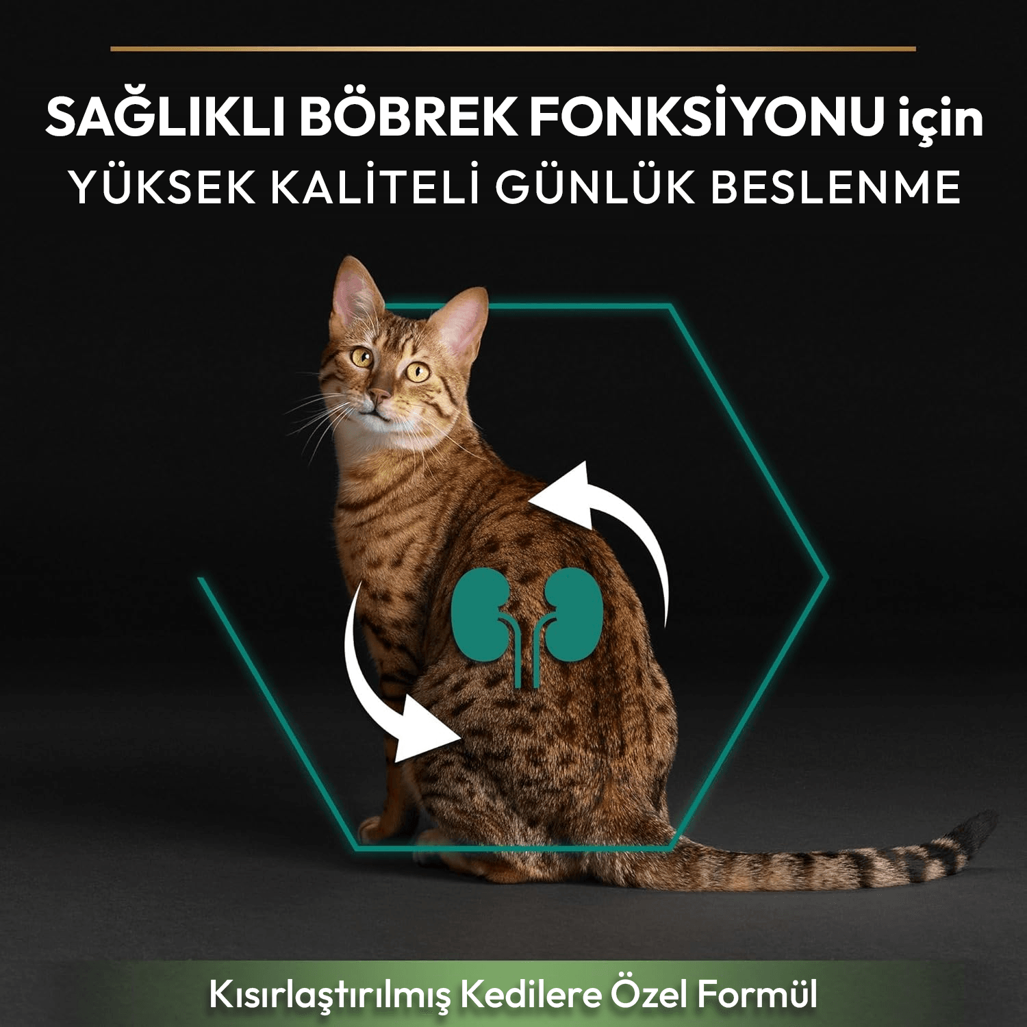 Pro Plan Sterilised Hindili Kısırlaştırılmış Kedi Maması
