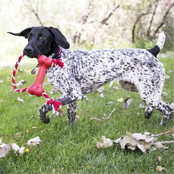 Kong Goodie Bone Kemik Şeklinde İp Sallantılı Köpek Oyuncağı