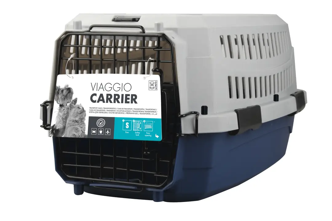 Chihuahua İçin En İyi Aksesuarlar: Satın Alma Rehberi 