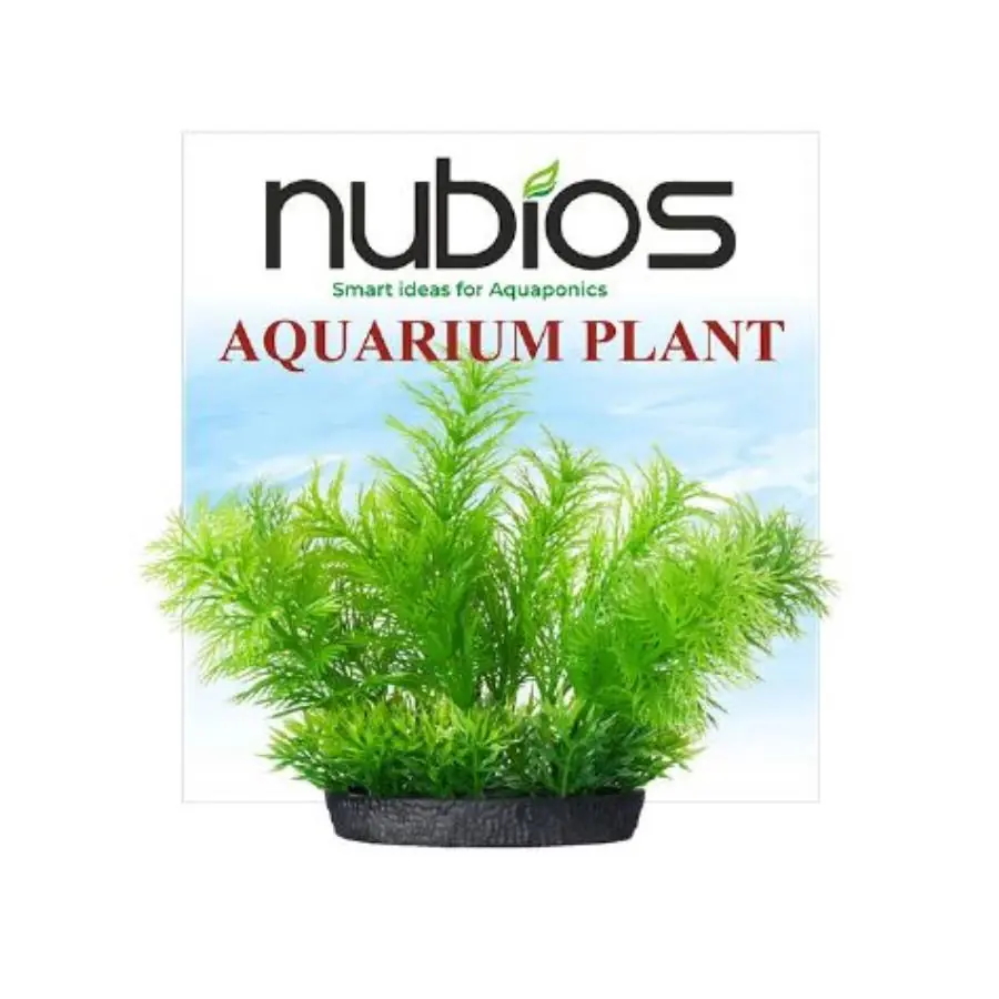 Nubios Kare Tabanlı Plastik Bitki