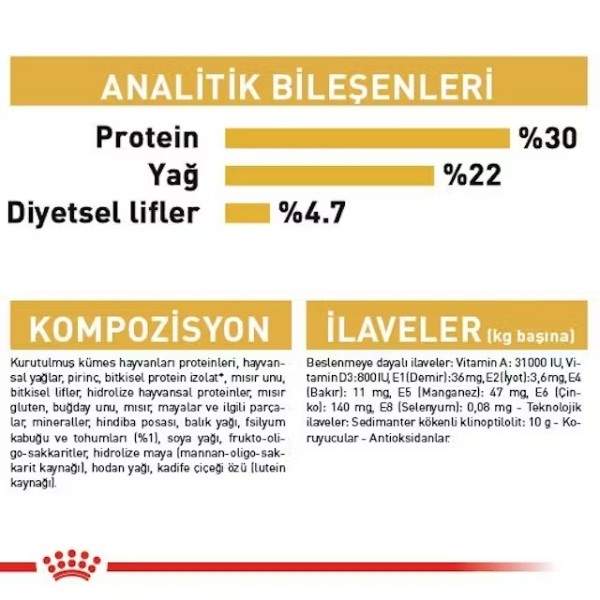 Royal Canin Persian Adult Yetişkin İran Kedisi Maması