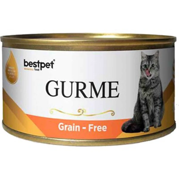 Bestpet Gurme Jöleli Somonlu Yetişkin Konserve Kedi Maması
