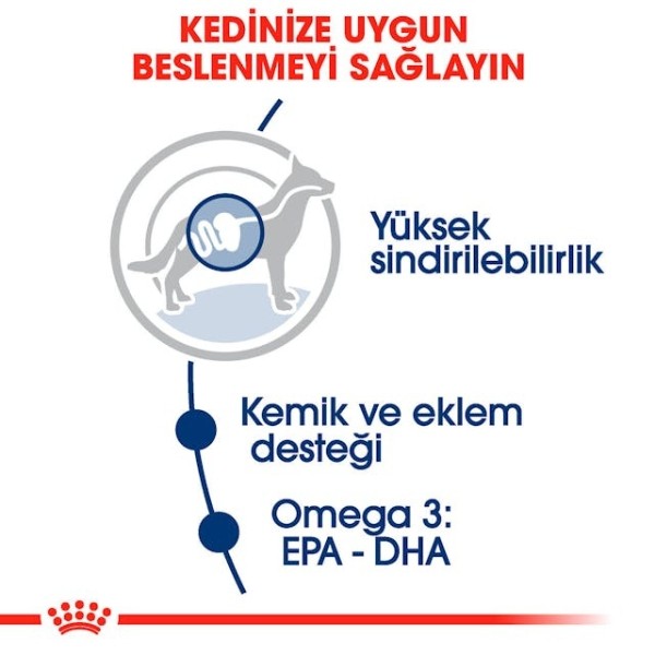 Royal Canin Maxi Adult Gravy Yetişkin Konserve Köpek Maması