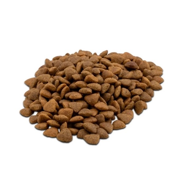 Tofucat Sterilised Somonlu Kısırlaştırılmış Kedi Maması