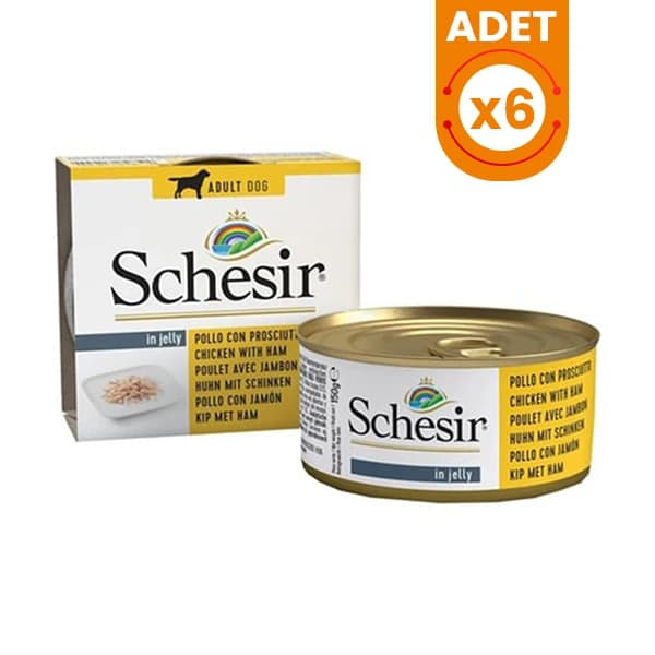 Schesir Jelly Pouch Tavuklu ve Domuzlu Fileto Konserve Yetişkin Köpek Maması