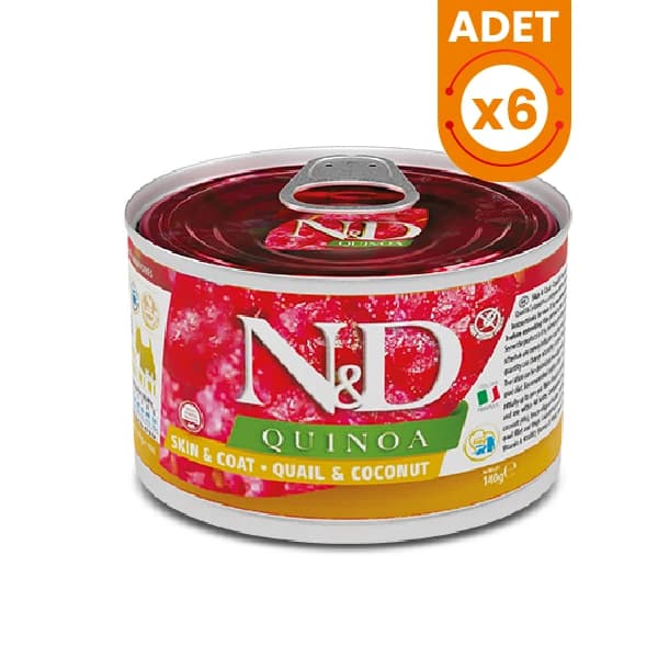 N&D Quinoa Bıldırcın ve Hindistan Cevizli Mini Irk Konserve Yaş Köpek Maması