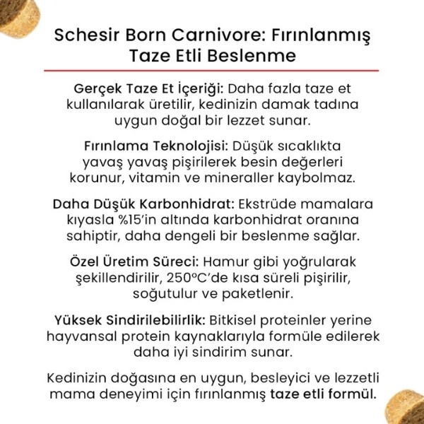 Schesir Born Carnivore Somonlu ve Ringa Balıklı Yetişkin Kedi Maması
