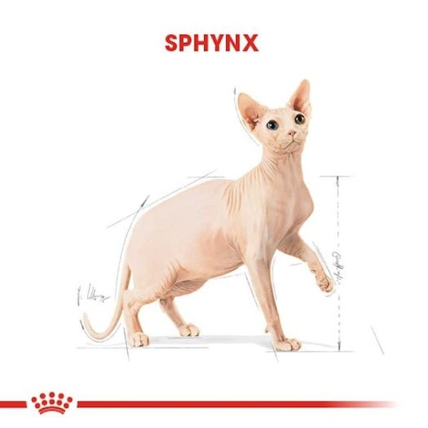 Royal Canin Tüysüz Sphynx Cinsi Yetişkin Kedi Maması