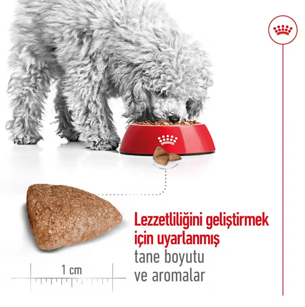 Royal Canin Mini İndoor Adult Yetişkin Köpek Maması
