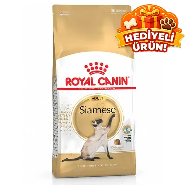 Royal Canin Siamese Adult Yetişkin Siyam Kedisi Maması